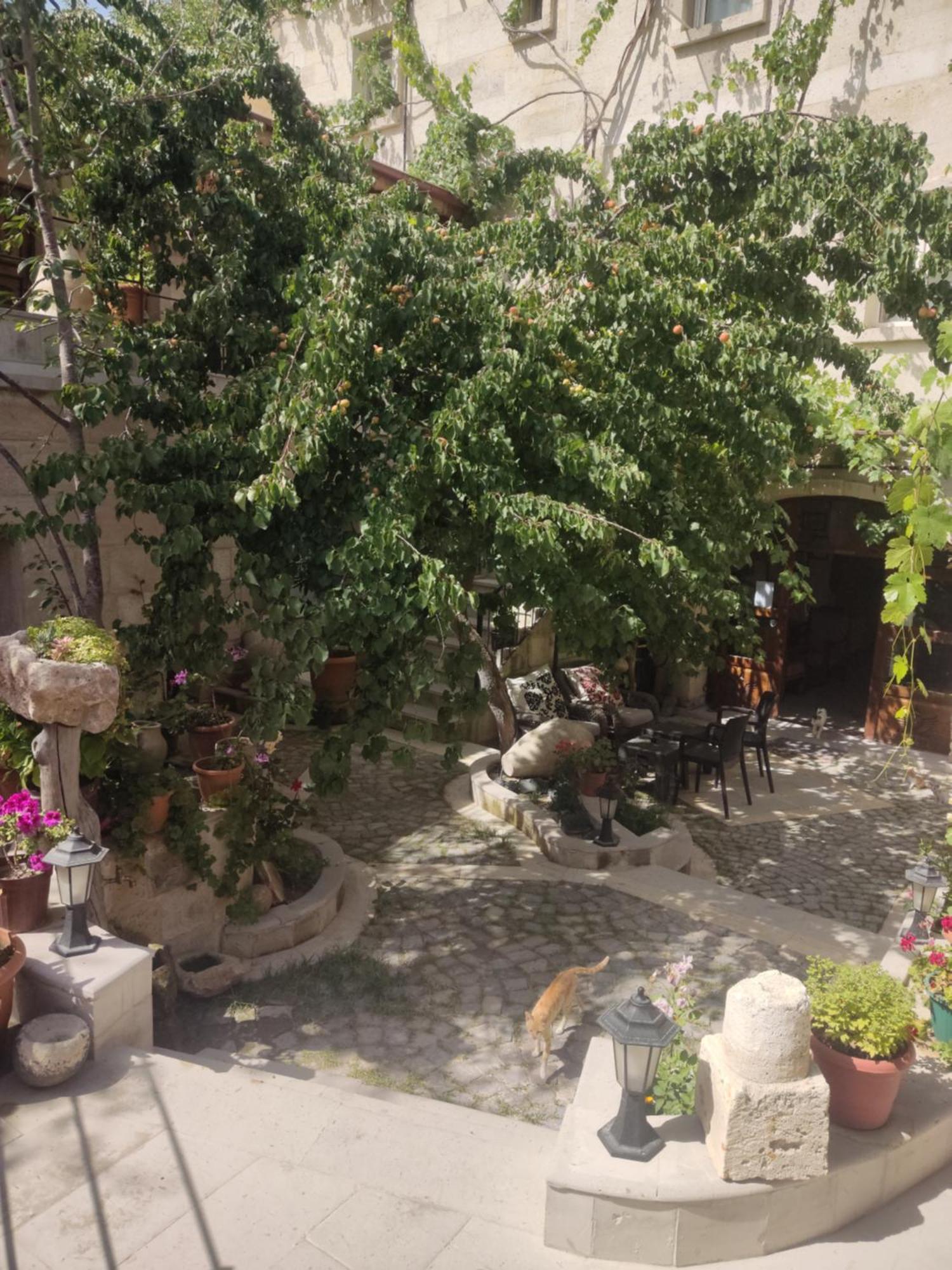 Luwian Stone House Hotel Goreme Exterior foto